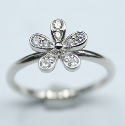 Anillo de Circonia