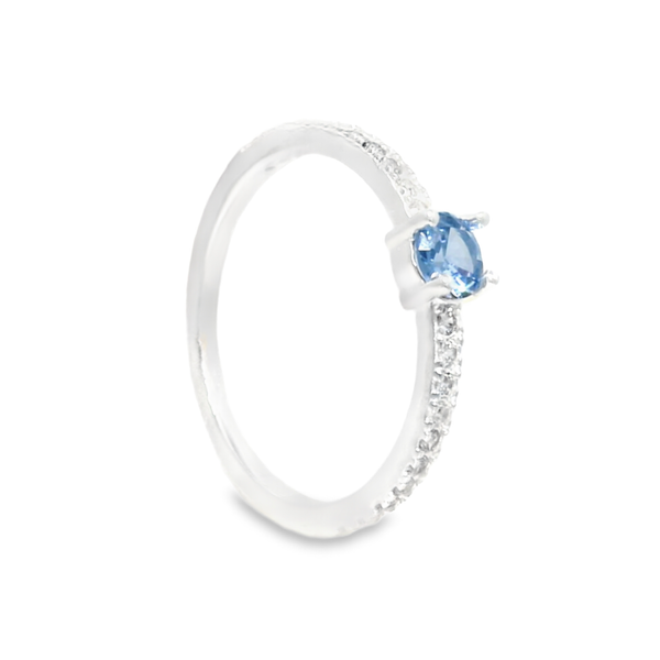 ANILLO 1121-316 1.3GR