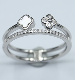 Anillo con Circonia